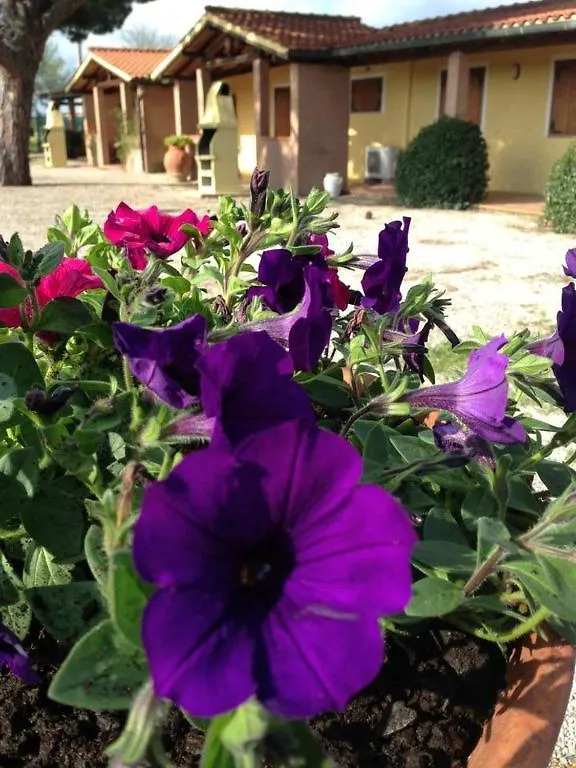 Tortuga Casa Vacanze Scarlino Kompleks wypoczynkowy