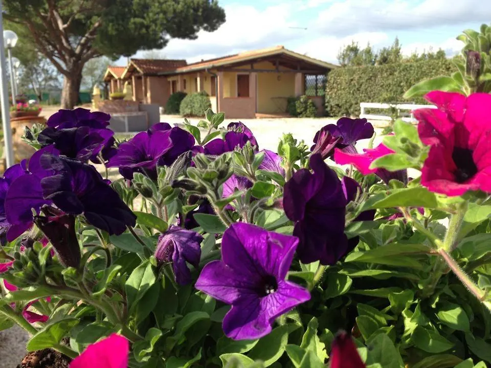 Tortuga Casa Vacanze Scarlino 0*,  Włochy